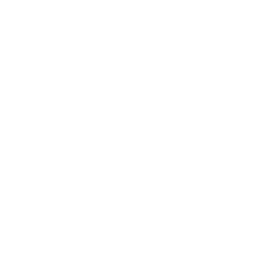 UP Fair